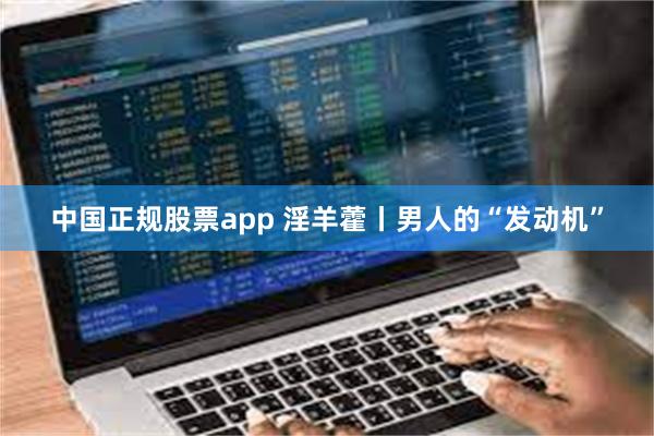 中国正规股票app 淫羊藿丨男人的“发动机”