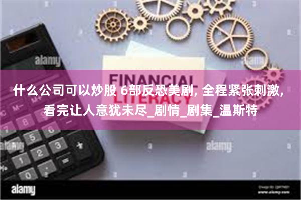什么公司可以炒股 6部反恐美剧, 全程紧张刺激, 看完让人意犹未尽_剧情_剧集_温斯特