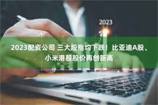 2023配资公司 三大股指均下跌！比亚迪A股、小米港股股价再创新高