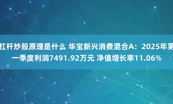 杠杆炒股原理是什么 华宝新兴消费混合A：2025年第一季度利润7491.92万元 净值增长率11.06%