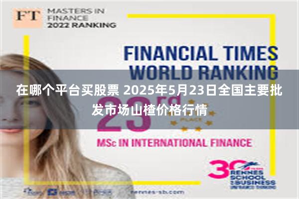在哪个平台买股票 2025年5月23日全国主要批发市场山楂价格行情