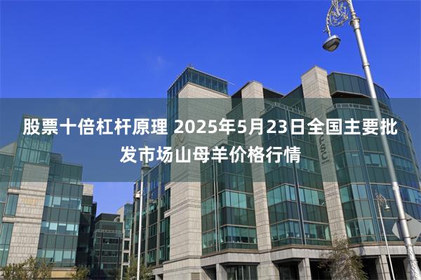股票十倍杠杆原理 2025年5月23日全国主要批发市场山母羊价格行情