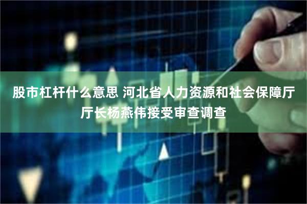 股市杠杆什么意思 河北省人力资源和社会保障厅厅长杨燕伟接受审查调查