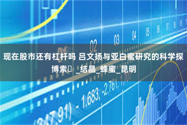 现在股市还有杠杆吗 吕文扬与亚白蜜研究的科学探博索‌_结晶_蜂蜜_昆明