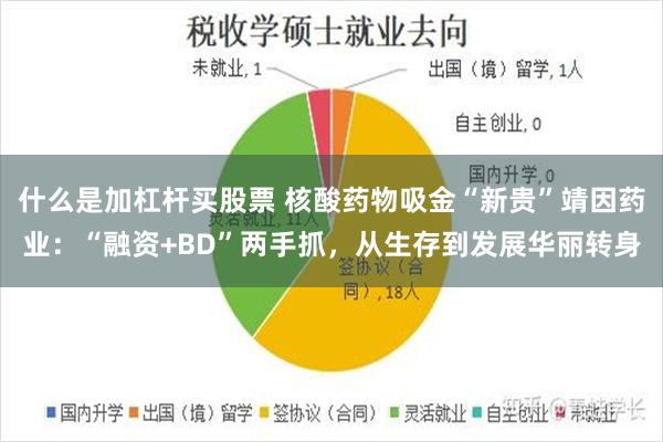 什么是加杠杆买股票 核酸药物吸金“新贵”靖因药业：“融资+BD”两手抓，从生存到发展华丽转身