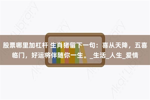 股票哪里加杠杆 生肖猪留下一句：喜从天降，五喜临门，好运将伴随你一生。_生活_人生_爱情