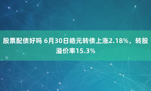 股票配债好吗 6月30日皓元转债上涨2.18%，转股溢价率15.3%
