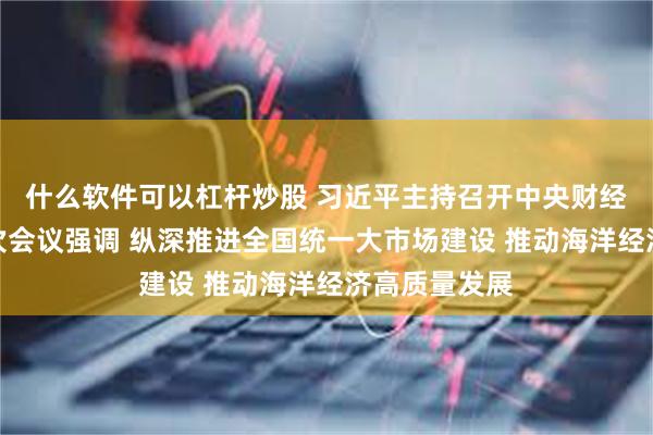 什么软件可以杠杆炒股 习近平主持召开中央财经委员会第六次会议强调 纵深推进全国统一大市场建设 推动海洋经济高质量发展